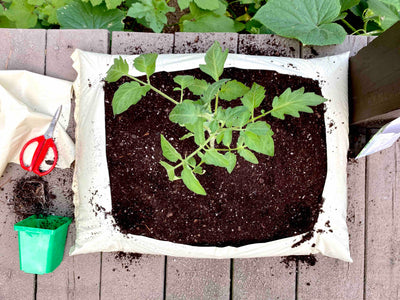 Garden in a Bag!