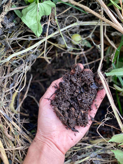 The Simplest Compost