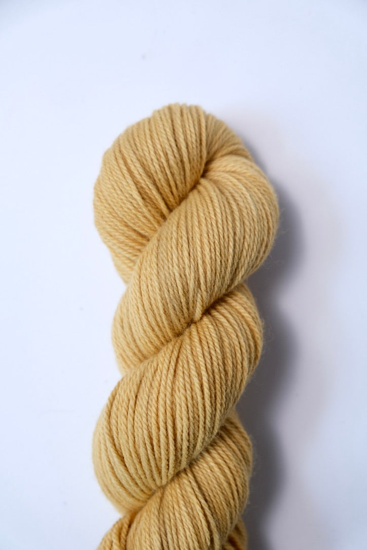 Gold | Targhee Worsted