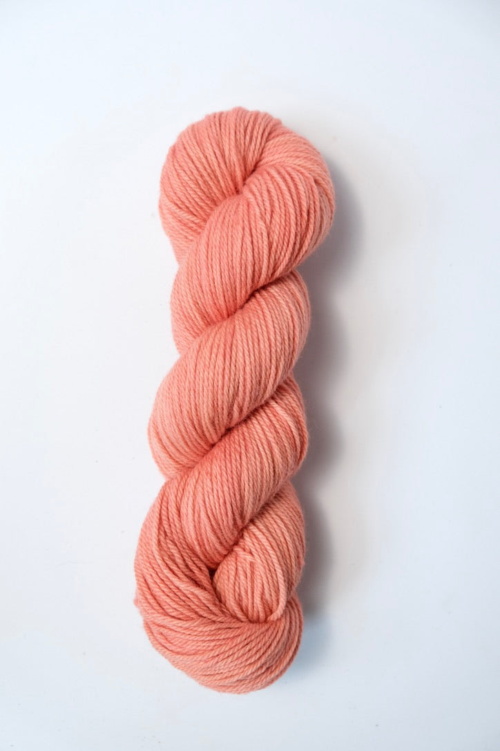 Coral | Targhee Worsted