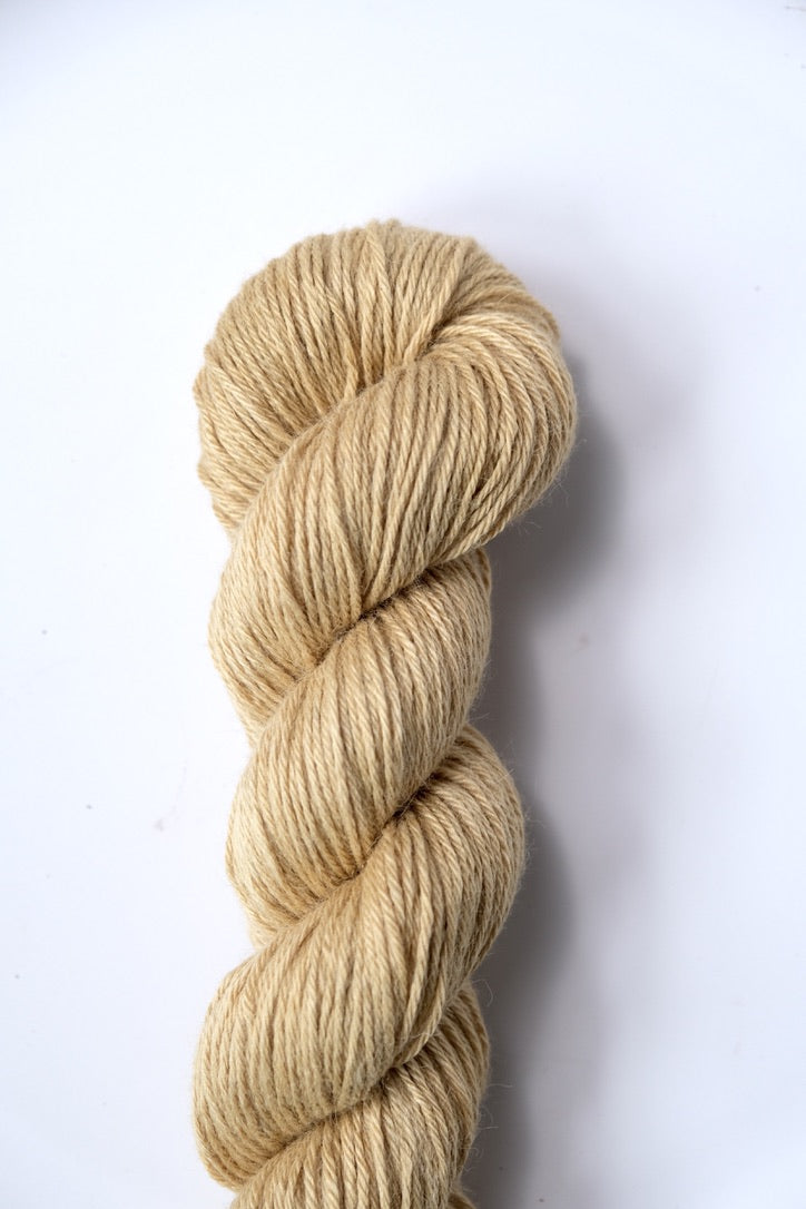 Honey | Silky Alpaca DK