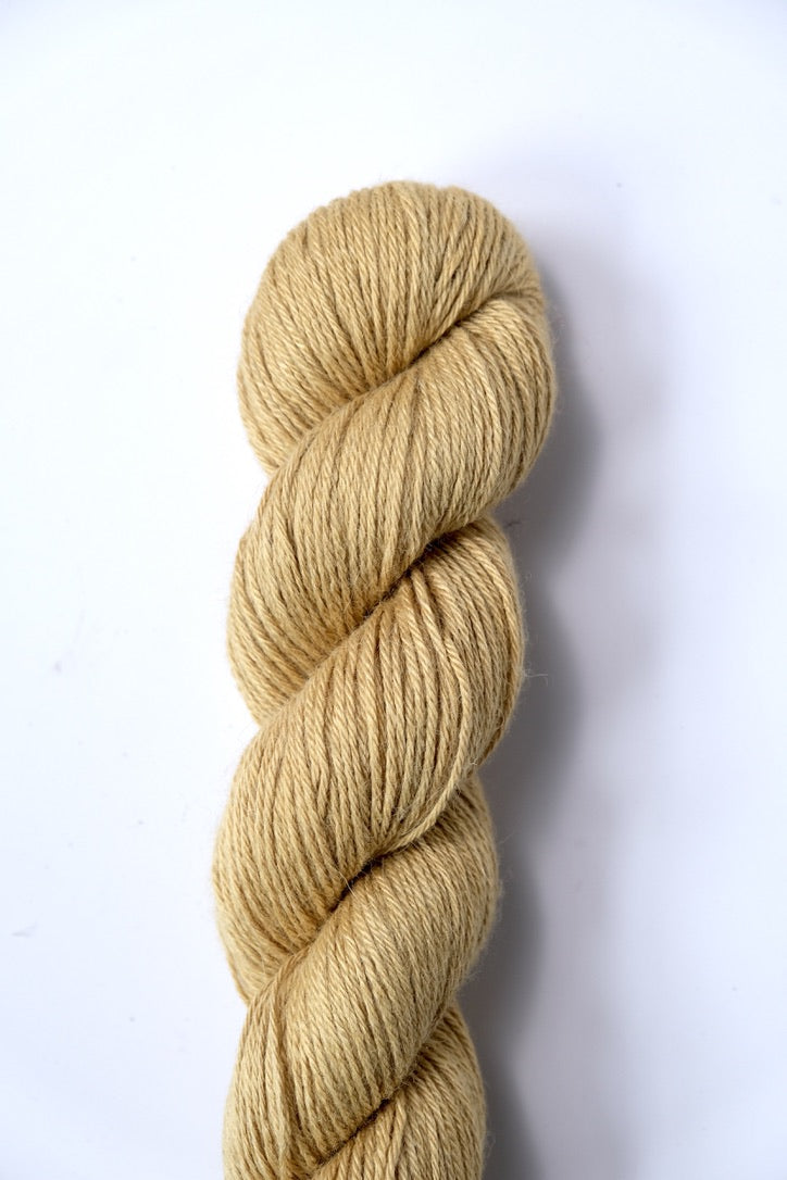 Gold | Silky Alpaca DK