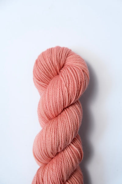 Coral | Targhee Worsted
