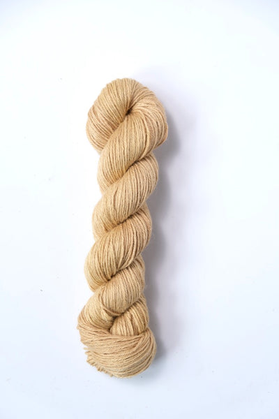 Almond | Silky Alpaca DK